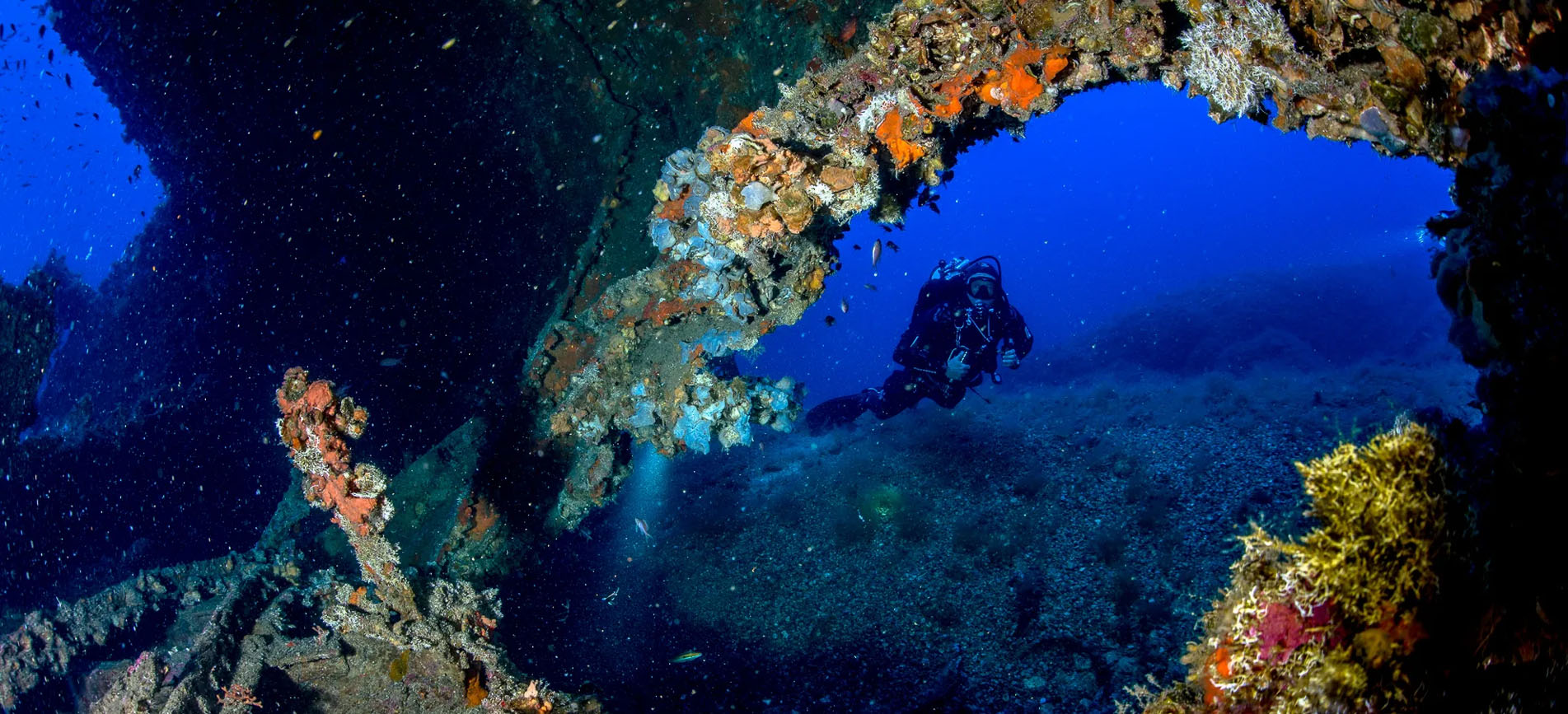 Vervece Wreck