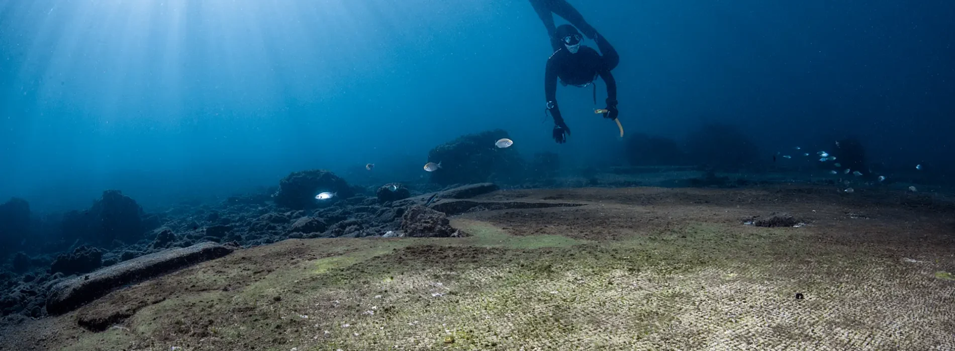 Snorkeling in the “Sunken Pompeii”: Archaeological Park of Baia – double dive (4 hours)
