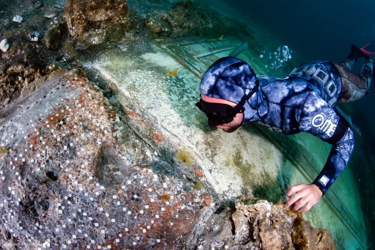 Percorso delle colonne Snorkeling baia